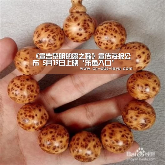 乐鱼体育入口
